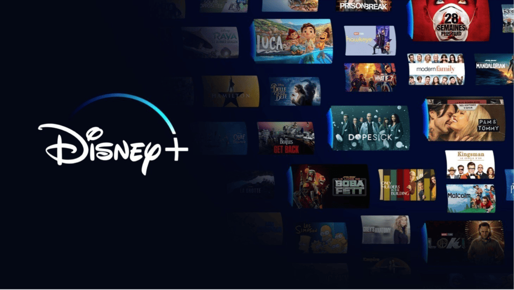 DIsney Plus - service de streaming VOD qui regroupe notamment les franchises Star Wars et Disney.