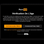 Des sites Internet à caractère pornographique bloqués en France car ils ne vérifient pas l'âge des visiteurs.