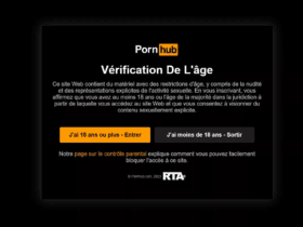 Des sites Internet à caractère pornographique bloqués en France car ils ne vérifient pas l'âge des visiteurs.